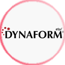 DynaFomr-7.1版本带不可描述